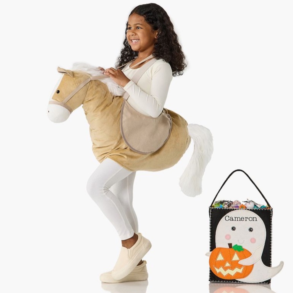 Horse Ride-On with Sound Costume Halloween Fall Farmhouse 4-6 Years Girl or Boy